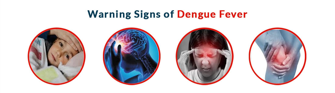 Warning Signs of Dengue Fever